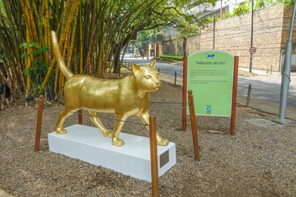 Las Gatas en Cali, Colombia —  Fotos de Stock