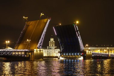Palace Bridge St Petersburg Rusya