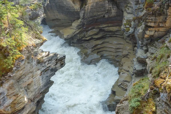 Athabasca Falls in Alberta — Stock Photo, Image