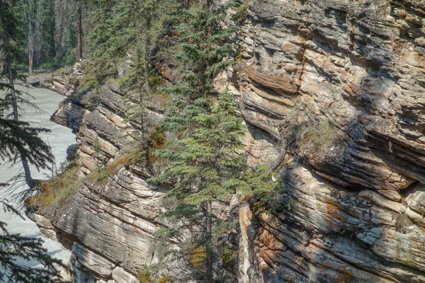 Alberta Athabasca-vízesés — Stock Fotó