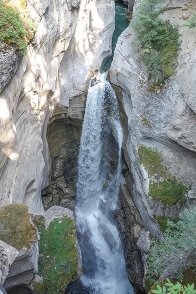 Maligne Canyon i Alberta — Stockfoto