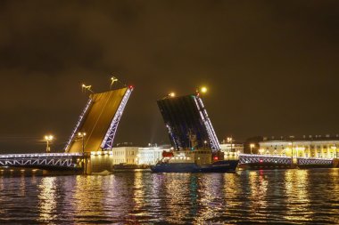 Palace Bridge St Petersburg Rusya