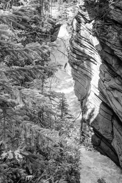 Athabasca Falls in Alberta — Stock Photo, Image