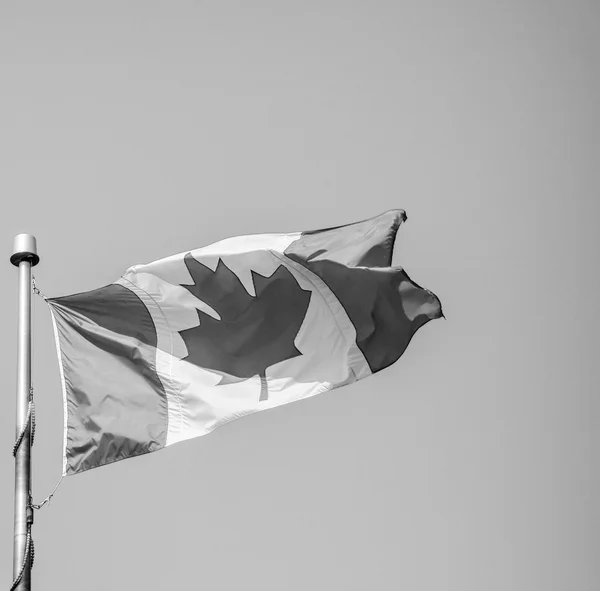 Bandera de Canadá — Foto de Stock