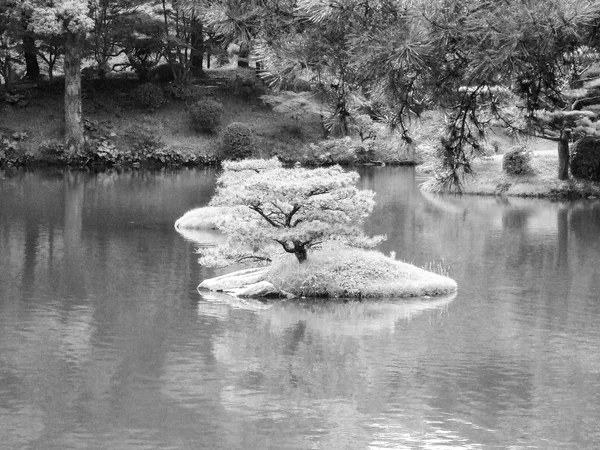 Hiroshima shukkeien tuinen — Stockfoto