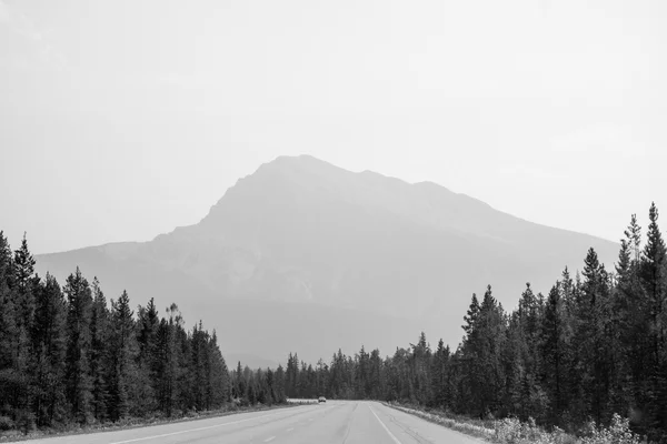 Jasper National Park in Alberta — Stock Photo, Image