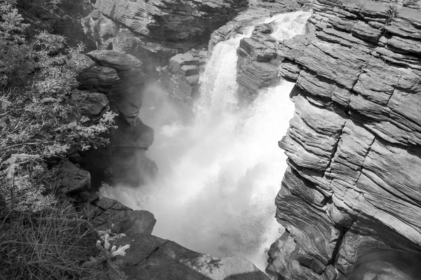 Athabasca Falls i Alberta — Stockfoto