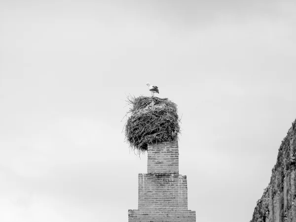 Stork at El Badi palace