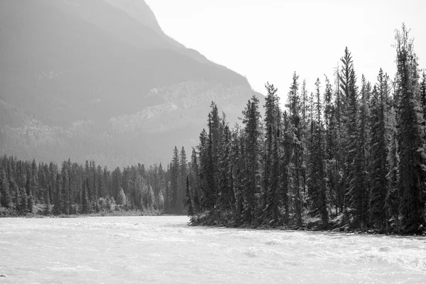 Alberta Athabasca-vízesés — Stock Fotó