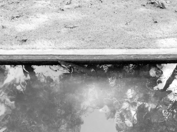 Водный пруд — стоковое фото