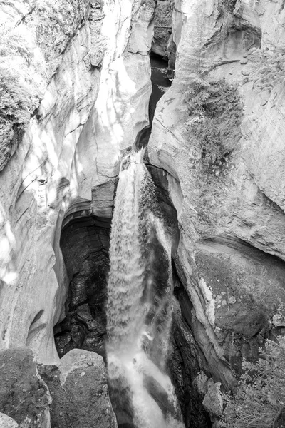 Maligne Canyon i Alberta — Stockfoto