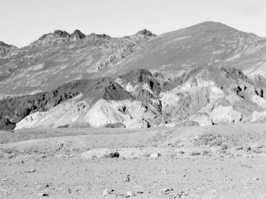 Ölüm vadisinde sanatçılar sürücü