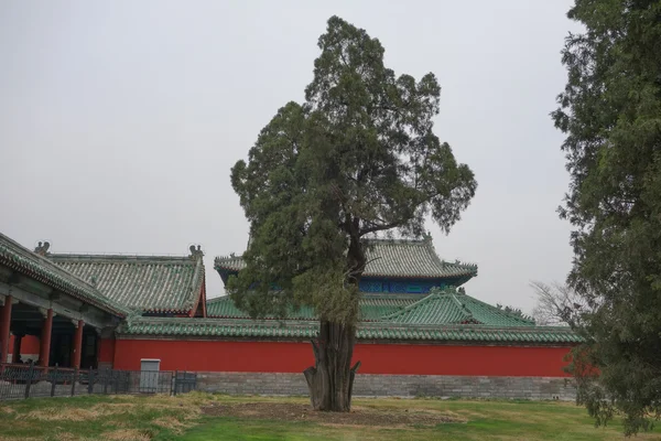 Templo del Cielo en Beijing — Foto de Stock