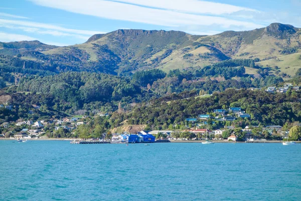 Puerto de la bahía de Akaroa — Foto de Stock