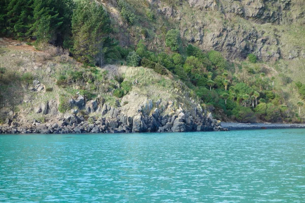 Vista de Akaroa — Foto de Stock