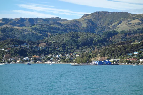 Κόλπο λιμάνι σε Akaroa — Φωτογραφία Αρχείου