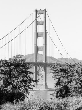 San Francisco 'daki Golden Gate Köprüsü