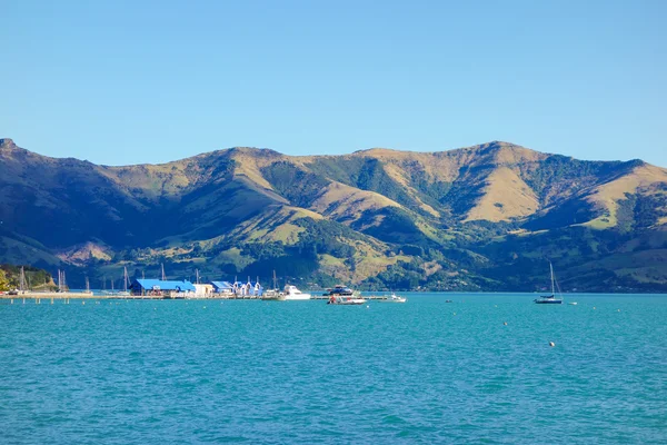 Baie portuaire d'Akaroa — Photo