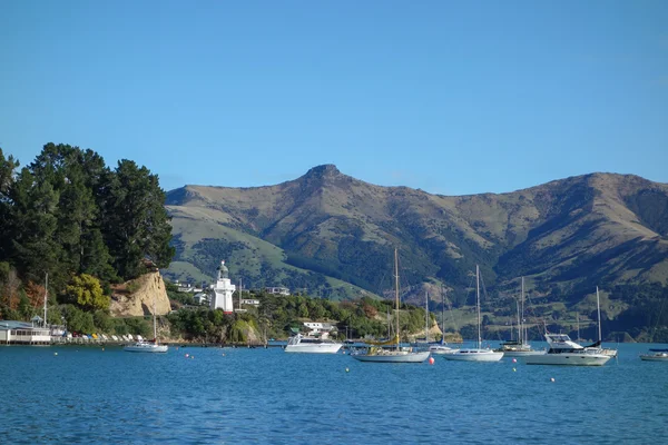 Κόλπο λιμάνι σε Akaroa — Φωτογραφία Αρχείου