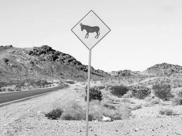 Death Valley, Estados Unidos —  Fotos de Stock