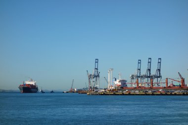 Auckland Limanı