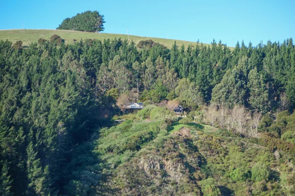 View of Akaroa — Stock Photo, Image