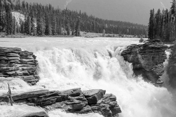 Athabasca Falls v Albertě — Stock fotografie