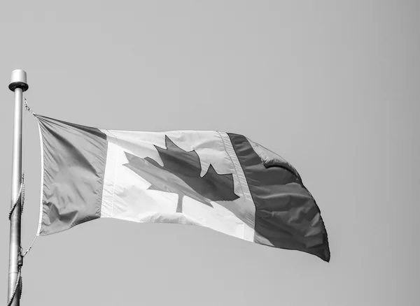 Bandera de Canadá — Foto de Stock