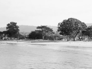 Big Sur beach California