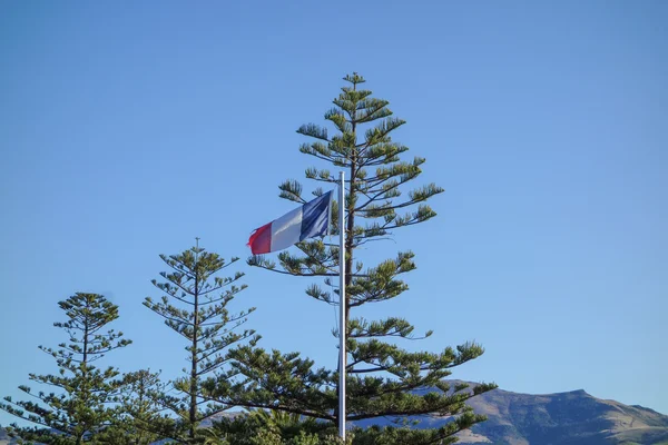 Fransa bayrağı — Stok fotoğraf