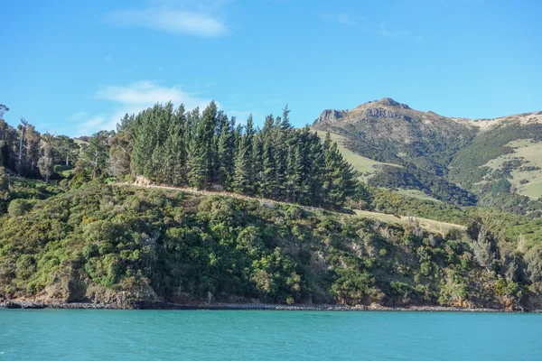 Widok od Akaroa — Zdjęcie stockowe