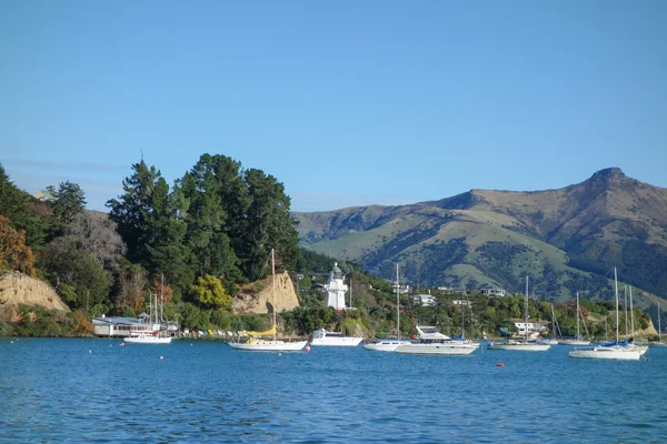 Κόλπο λιμάνι σε Akaroa — Φωτογραφία Αρχείου