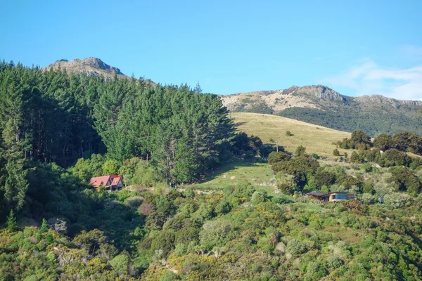 Akaroa görünümünü