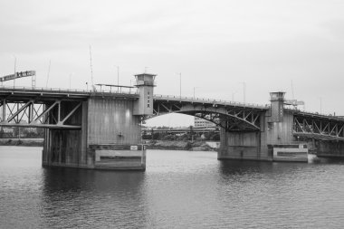 Portland görünümünü