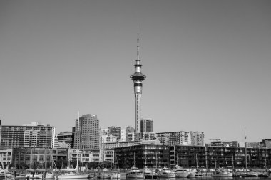 Auckland Limanı