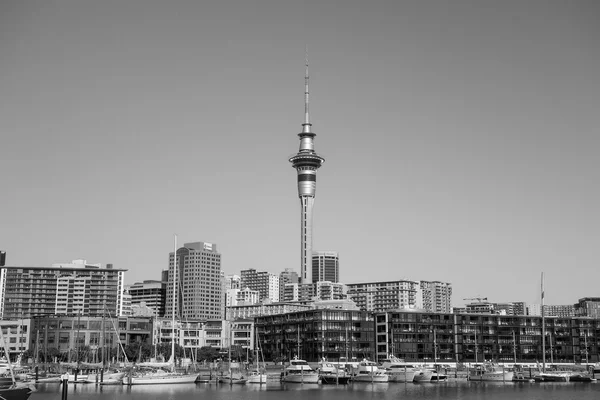 Hamnen i Auckland — Stockfoto