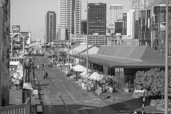 View of Auckland — Stock Photo, Image