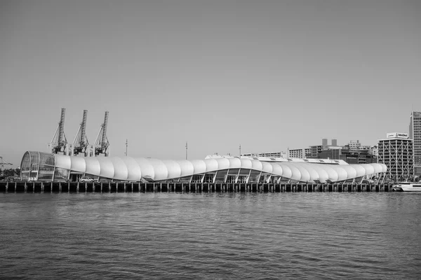 Hafen in Auckland — Stockfoto