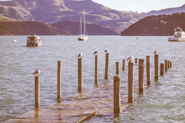 Puerto de la bahía de Akaroa de aspecto retro — Foto de Stock