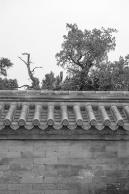 Pekin 'deki Cennet Tapınağı