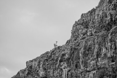 Akaroa görünümünü