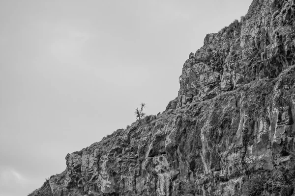 Akaroa görünümünü