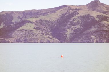 Retro görünüm Akaroa arıyorsunuz