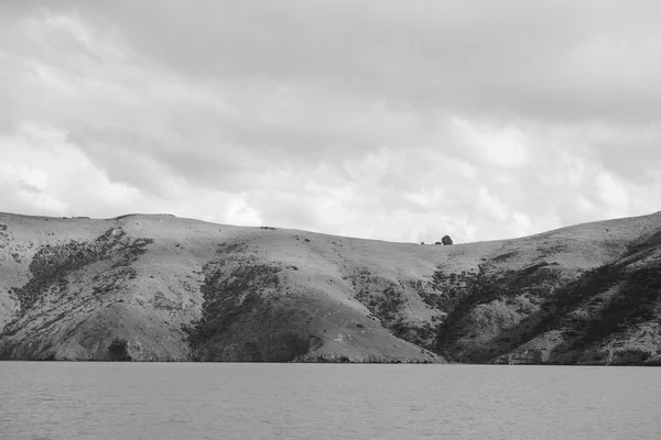 Widok od Akaroa — Zdjęcie stockowe