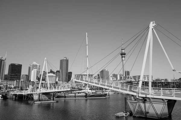 Harbour in Auckland — Stock Photo, Image