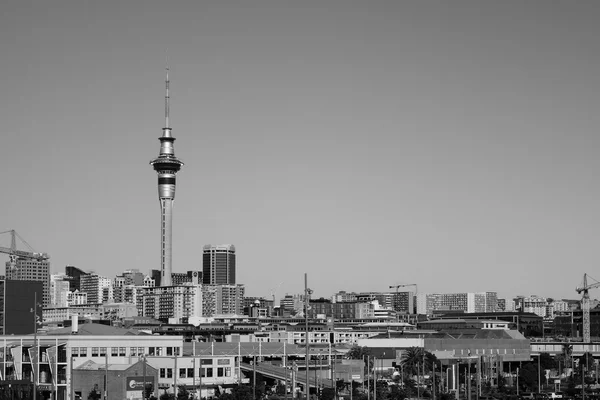 Sky Tower in Auckland — Stock Photo, Image