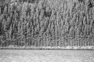 Akaroa görünümünü