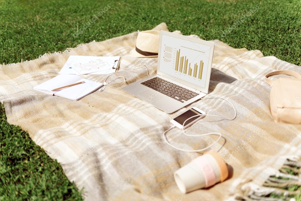 Blanket with laptop lying on the grass Stock Photo by ©Dmyrto_Z 118397408