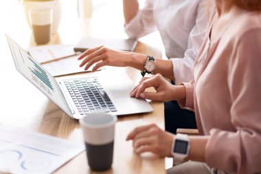 Masada oturan hoş arkadaşları