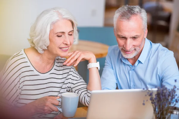 Casal sênior positivo usando laptop — Fotografia de Stock